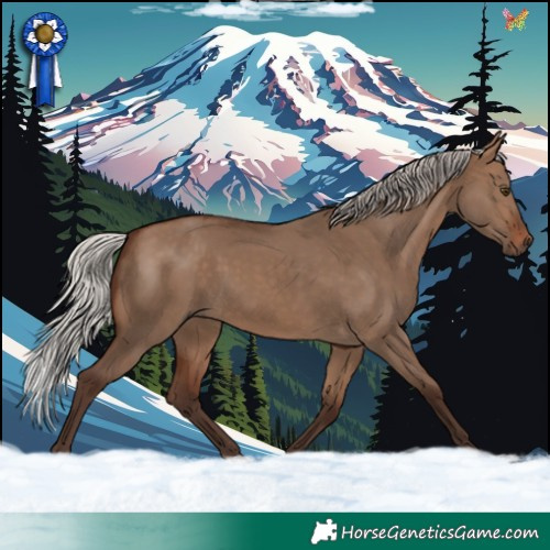 Horse Color:Void White Spotted Silver Brown Dun Rabicano 