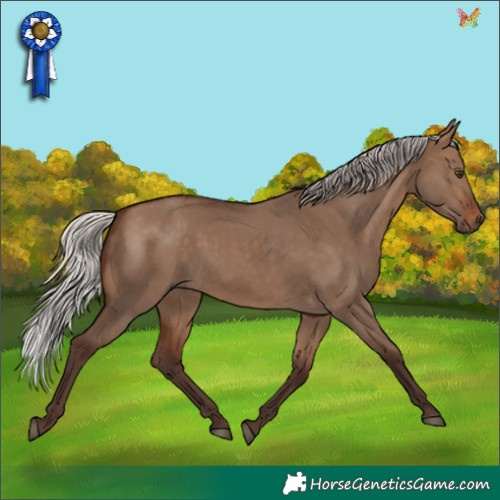 Horse Color:Void White Spotted Silver Brown Dun Rabicano