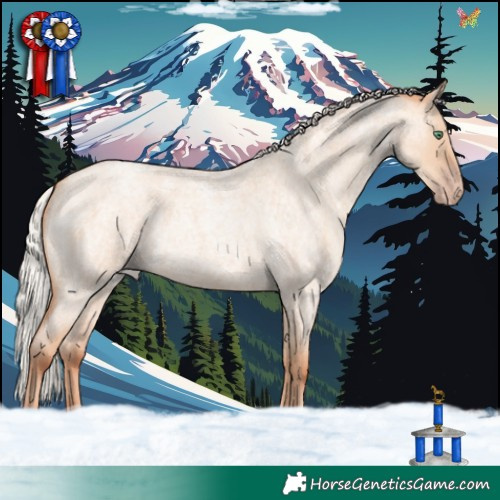 Horse Color:Silver Classic Champagne Roan Dun 