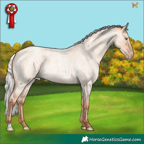 Horse Color:Silver Classic Champagne Roan Dun 
