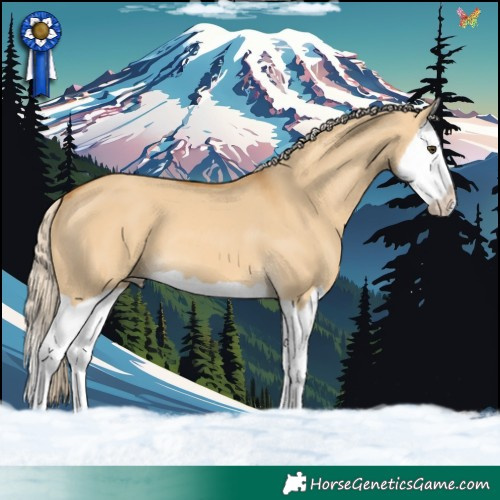 Horse Color:Palomino Dun Splash 