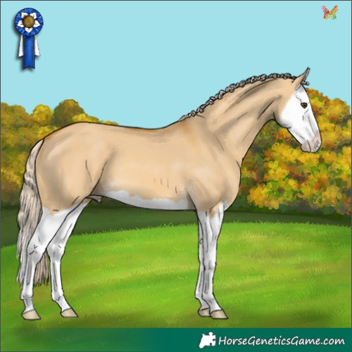 Horse Color:Palomino Dun Splash