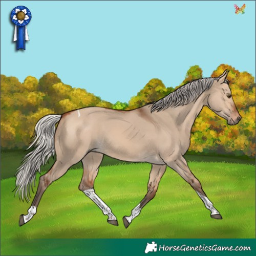 Horse Color:Silver Bay Dun Tobiano 