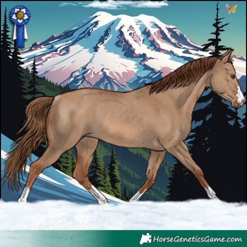 Horse Color:Red Dun Rabicano 