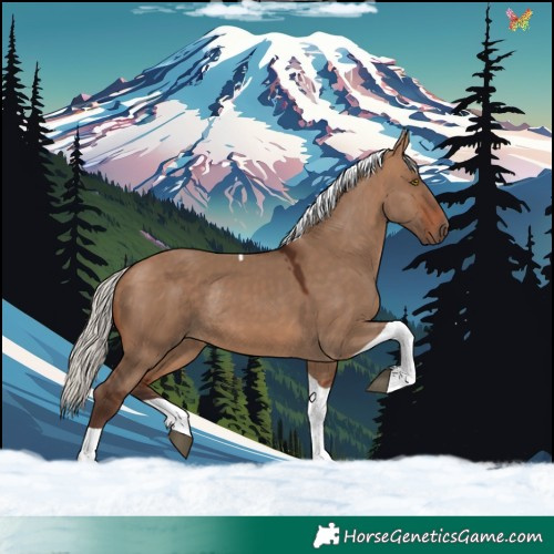 Horse Color:Silver Brown Dun Tobiano Rabicano 