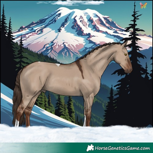 Horse Color:Liver Red Dun Tobiano Rabicano 