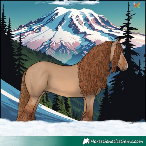 Horse Color:Red Dun Sabino Rabicano 