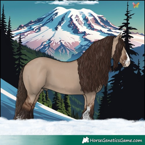 Horse Color:Liver Red Dun Sabino 