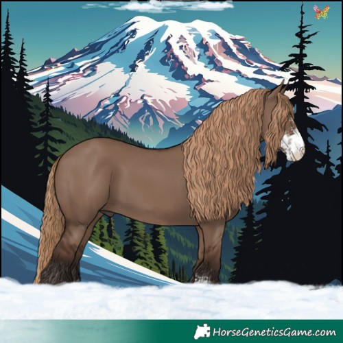 Horse Color:Liver Red Dun Sabino 