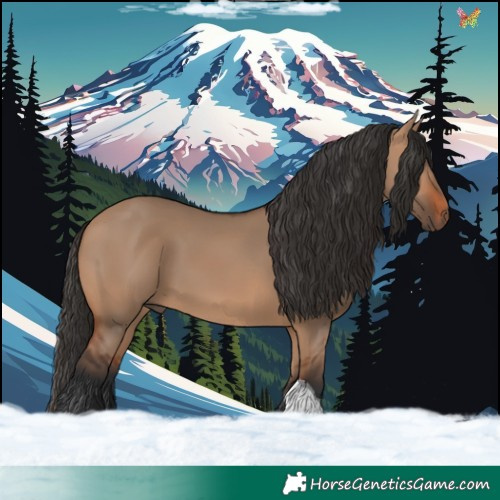 Horse Color:Bay Dun Tobiano 