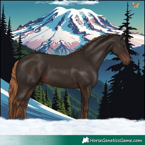 Horse Color:Liver Chestnut 
