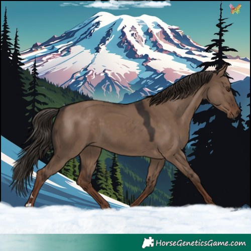 Horse Color:Liver Red Dun 