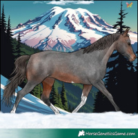 Horse Color:Bay Tobiano Varnish 