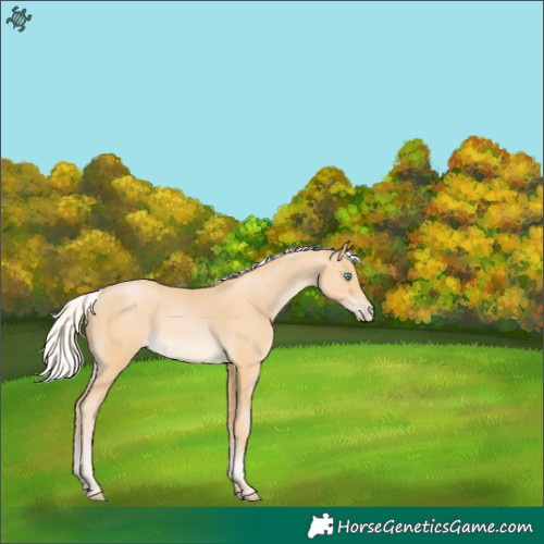 Horse Color:Silver Buckskin Pearl 