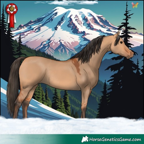 Horse Color:Bay Dun Rabicano 