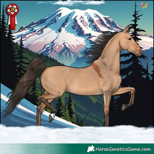 Horse Color:Bay Dun Rabicano 