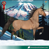 Horse Color:Bay Dun Tobiano 