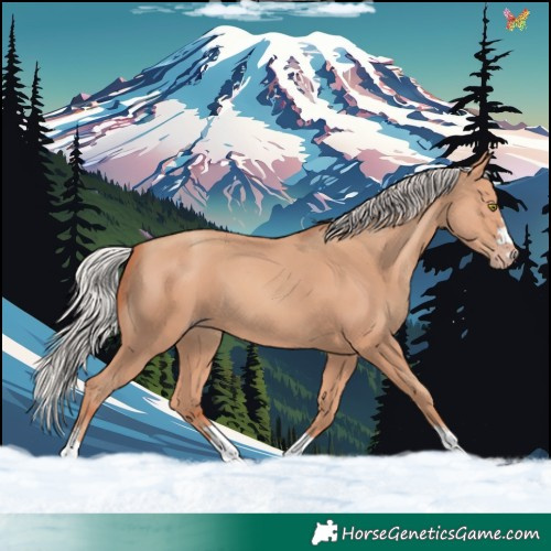 Horse Color:Silver Amber Champagne 