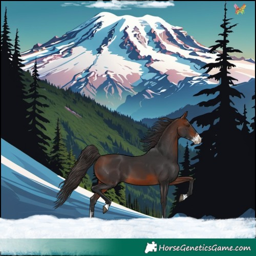 Horse Color:Brown Sabino 