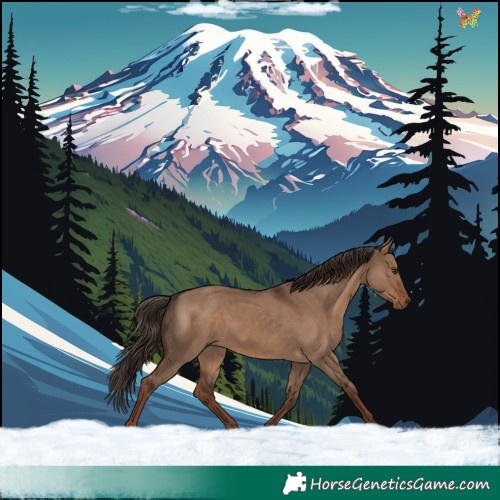 Horse Color:Liver Red Dun Rabicano 