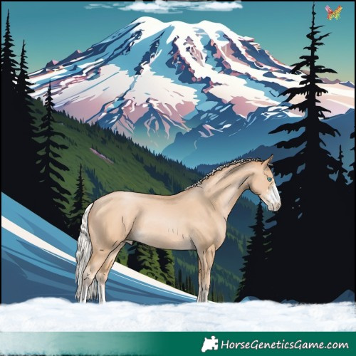 Horse Color:Silver Buckskin Pearl Sabino Rabicano 