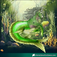 Horse Color:Gray Watercolor Silver Brown Rabicano 