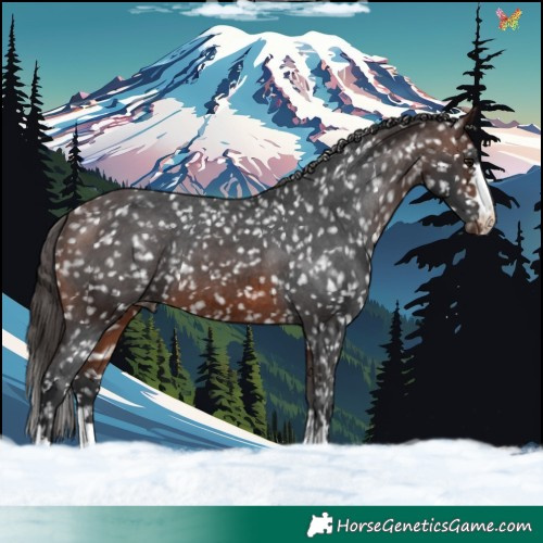 Horse Color:Brown Snowflake Varnish 
