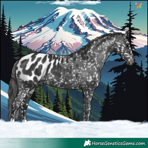 Horse Color:Black Mushroom Blanket 
