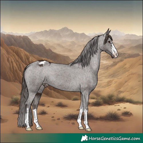 Horse Color:Liver Chestnut Appaloosa 