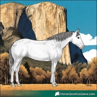 Horse Color:Blue Roan Splash Near Leopard 