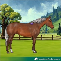Horse Color:Silver Brown 