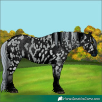 Horse Color:ERROR: UNKNOWN ANOMALY