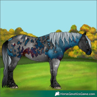 Horse Color:ERROR: UNKNOWN ANOMALY