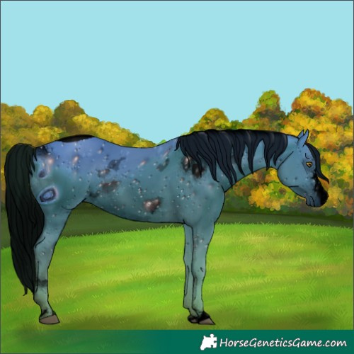 Horse Color:ERROR: UNKNOWN ANOMALY