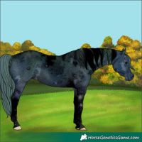 Horse Color:ERROR: UNKNOWN ANOMALY