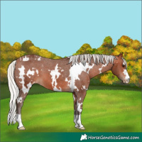 Horse Color:White Spotted Silver Brown Varnish 