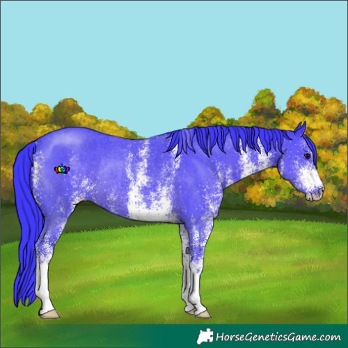 Horse Color:Watercolor White Spotted Smoky Black Rabicano 