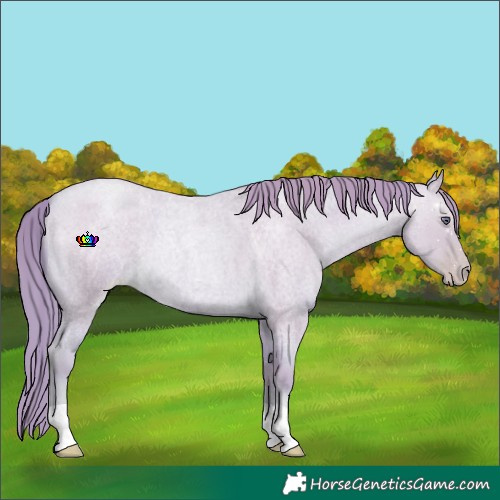 Horse Color:Watercolor Smoky Blue Chinchilla Roan Pearl 