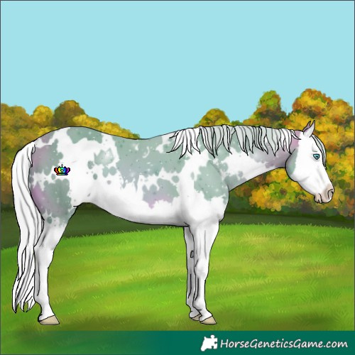 Horse Color:Watercolor White Spotted Silver Buckskin Splash 