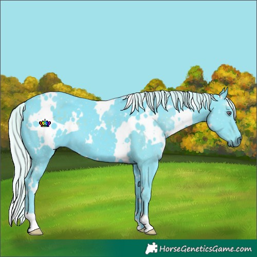 Horse Color:Watercolor White Spotted Silver Smoky Black Chinchilla 