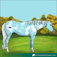 Horse Color:Watercolor White Spotted Silver Smoky Black Chinchilla 