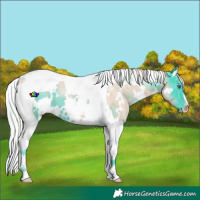 Horse Color:Watercolor White Spotted Silver Smoky Black Chinchilla Tobiano