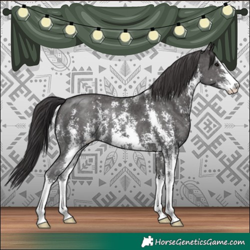 Horse Color:Smoky Black Sabino 