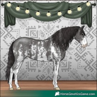 Horse Color:Smoky Black Sabino 