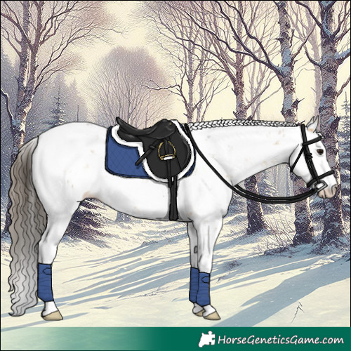 Horse Color:Buckskin Sabino Rabicano 