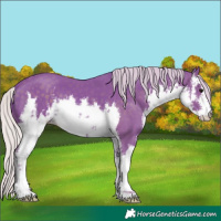 Horse Color:Watercolor White Spotted Silver Black 