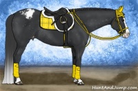 Horse Color:Black Splash Varnish Rabicano 