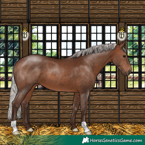 Horse Color:Silver Brown 