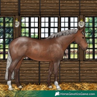 Horse Color:Silver Brown 