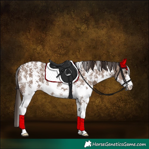 Horse Color:Liver Red Dun Sabino 